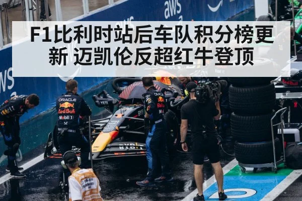 Red Bull F1 pit stop